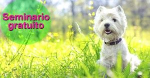 veterinaria-ortomolecular-barcelona