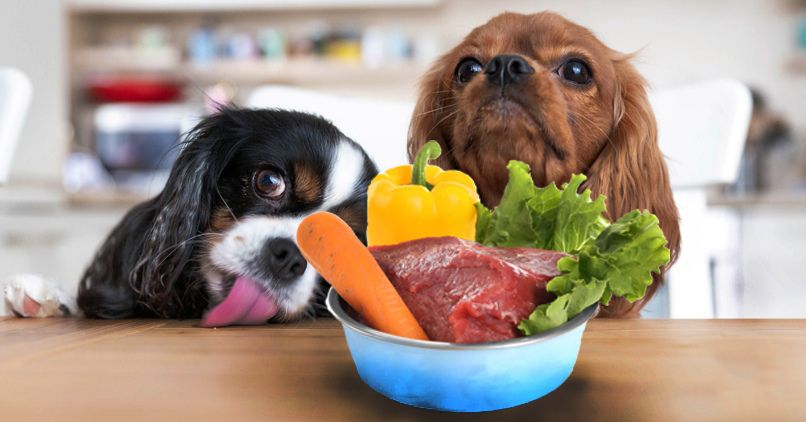 barf_diet_healthy_dogs_food