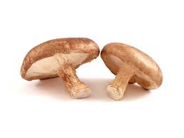 Shiitake Shiitake para mascotas