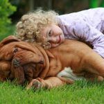 Probióticos para perros