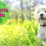 veterinaria-ortomolecular-barcelona