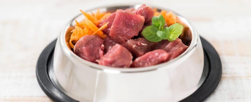 dieta barf para cachorros