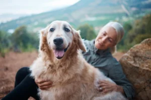 Alimentos para mejorar la artrosis en perros