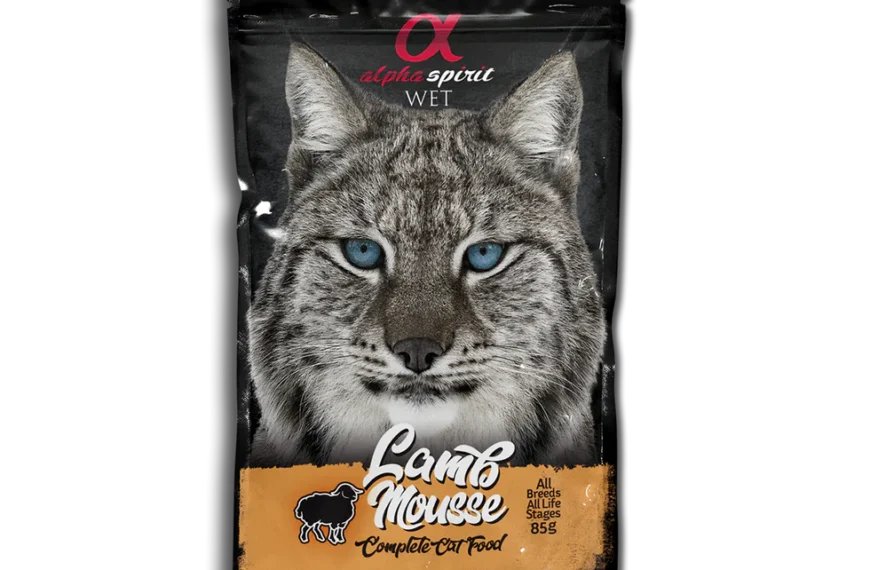 Alpha spirit mousse cordero