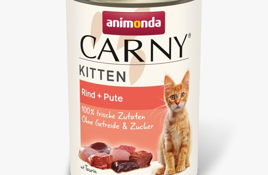 Animonda Carny Beef + Turkey