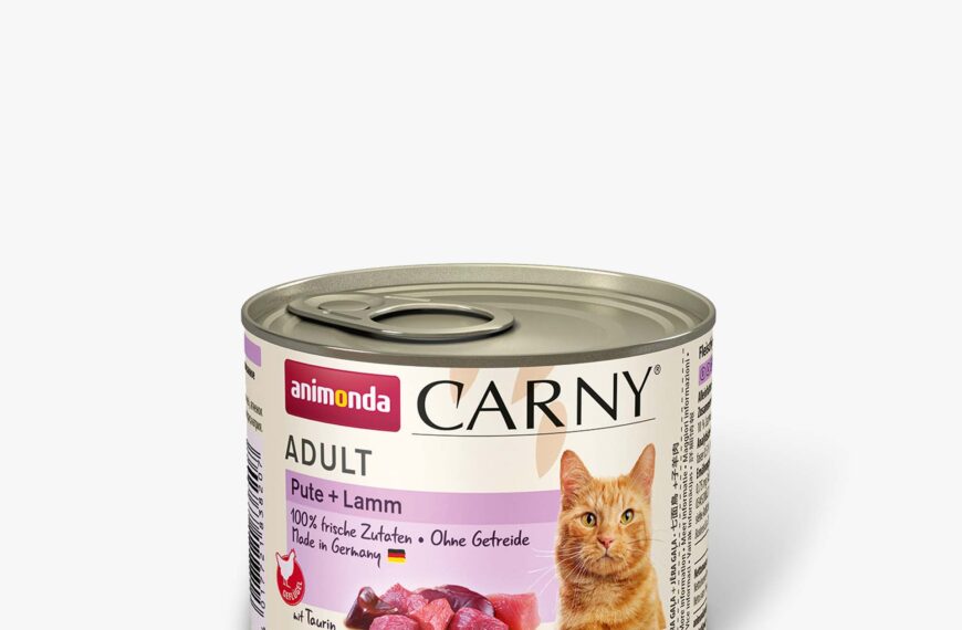 Animonda Carny turkey + lamb