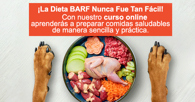 curso online barf