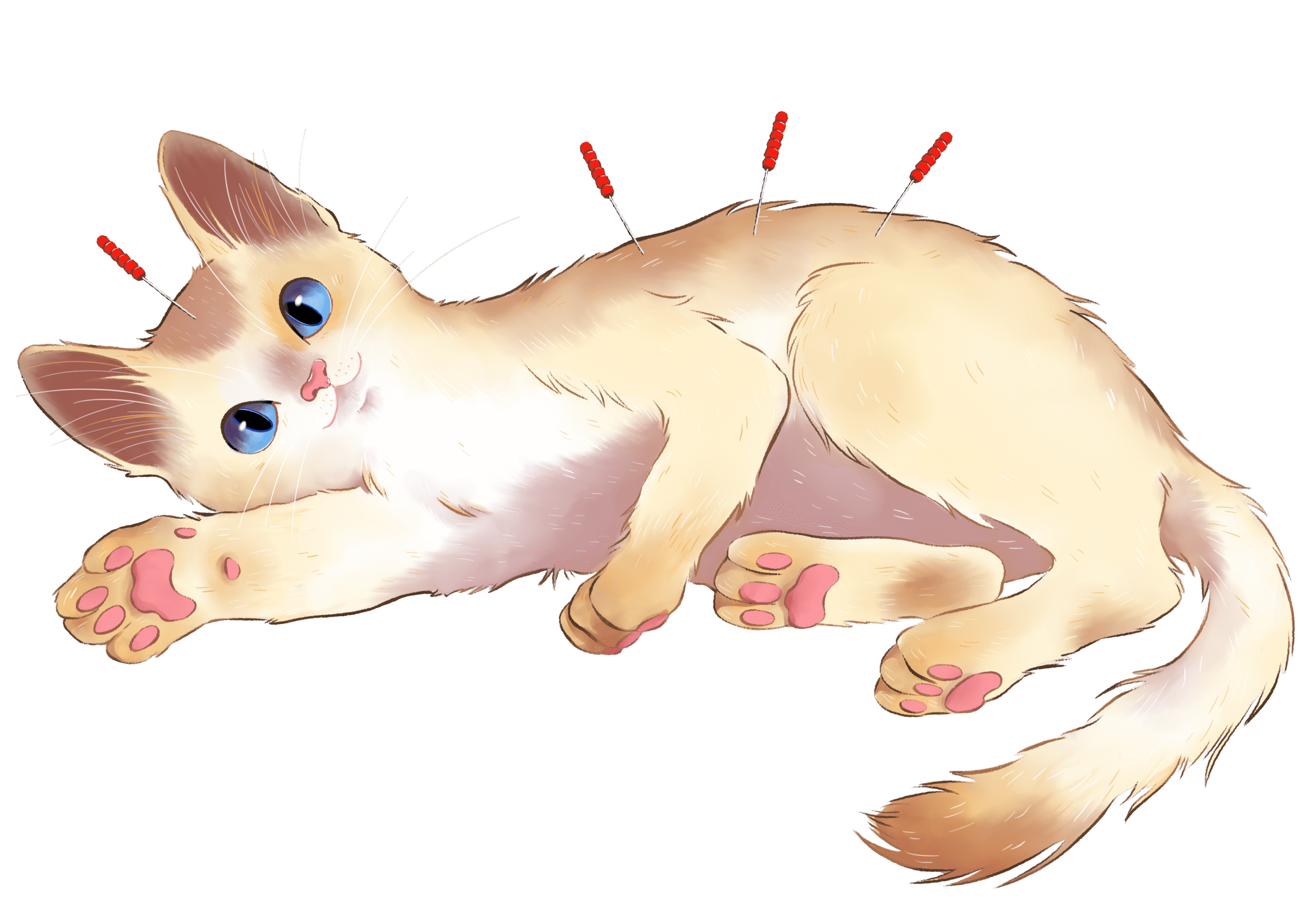 5 Veterinarios Acupuntores en España